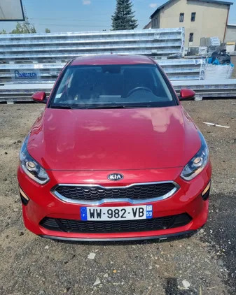 kia Kia Ceed cena 49900 przebieg: 11000, rok produkcji 2021 z Mikołów